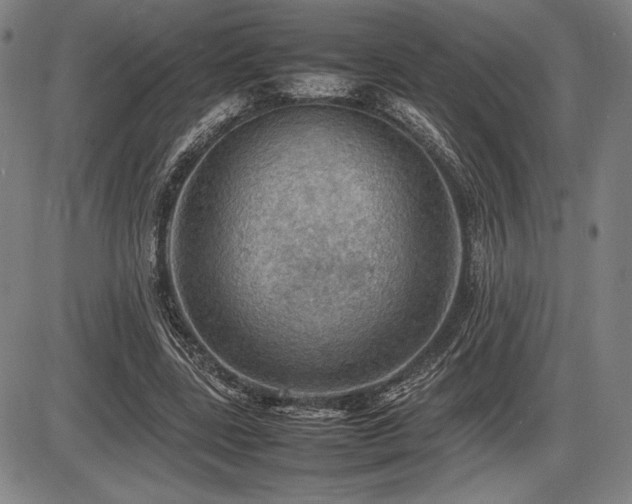 X0000086230539200703291332