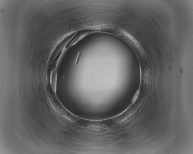 X0000086230540200703291332