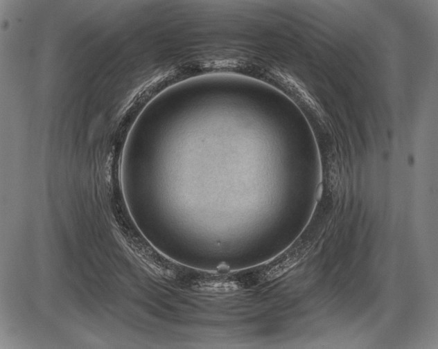 X0000086230543200703291332