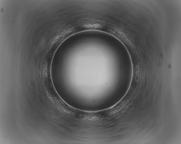 X0000086230547200703291332