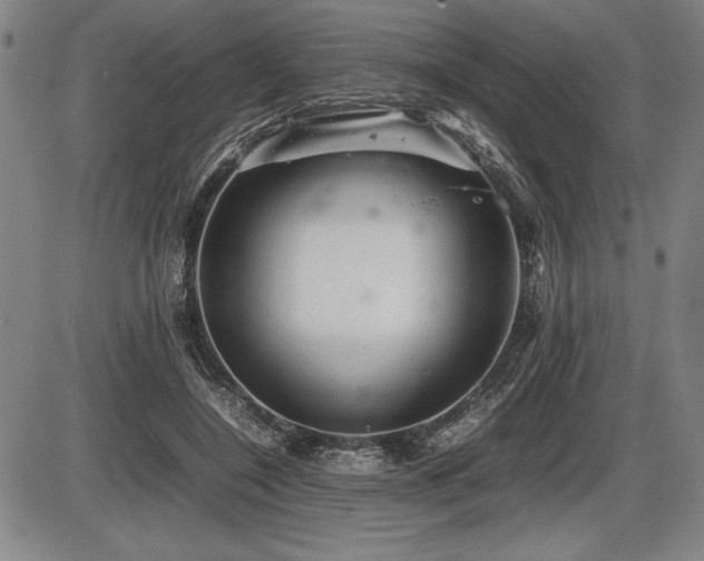 X0000086230548200703291332