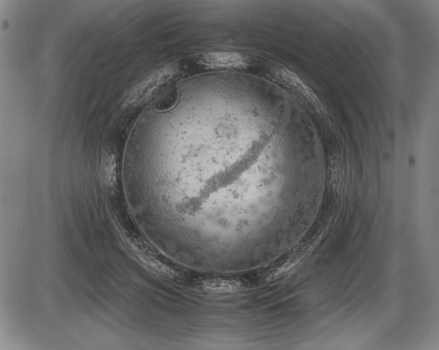 X0000086230549200703291332