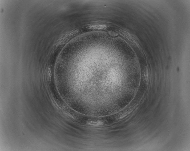 X0000086230551200703291332