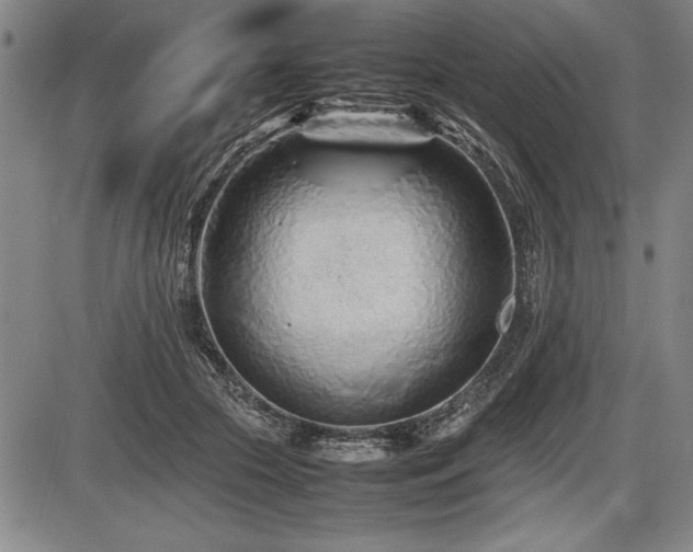 X0000086230553200703291332