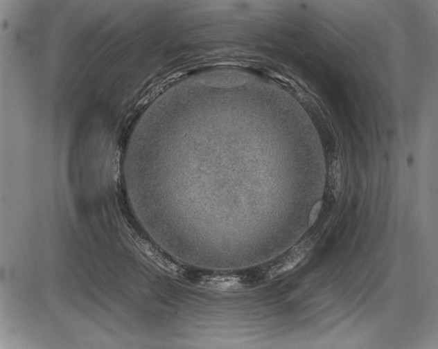X0000086230554200703291332