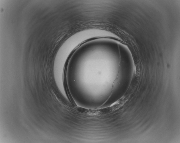 X0000086230560200703291332