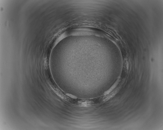 X0000086230564200703291332