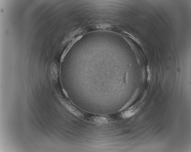 X0000086230572200703291332