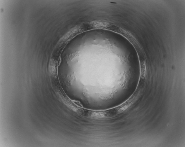 X0000086230573200703291332