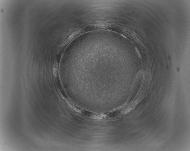 X0000086230576200703291333