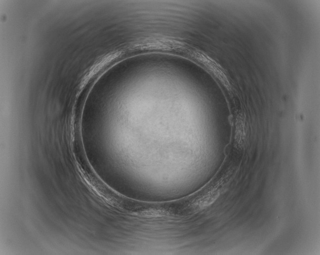 X0000086230578200703291332