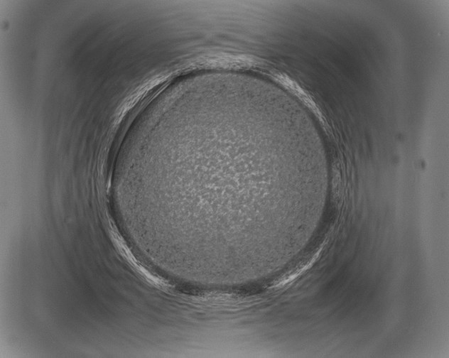X0000086230581200703291332
