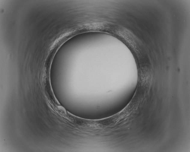 X0000086230583200703291332