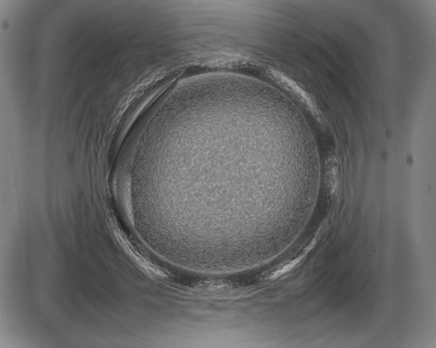 X0000086230589200703291331