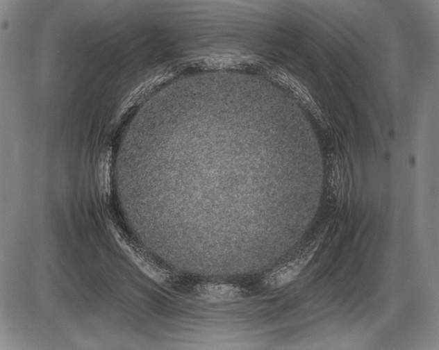 X0000086230590200703291331