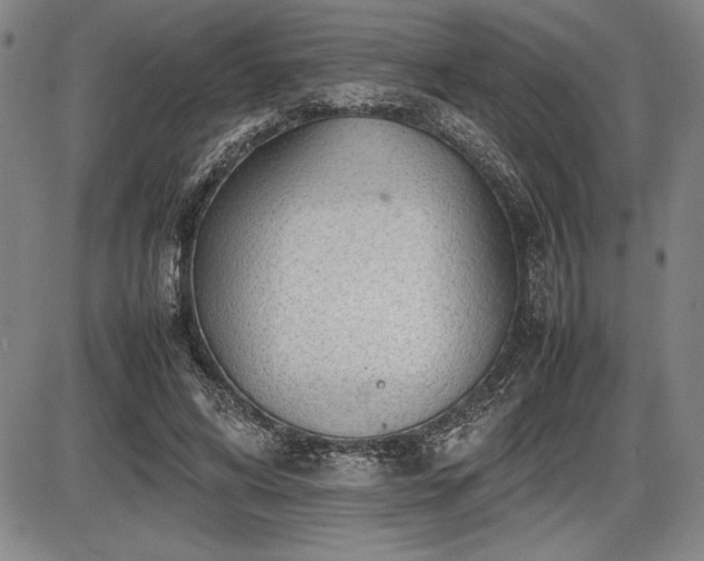 X0000086230592200703291331