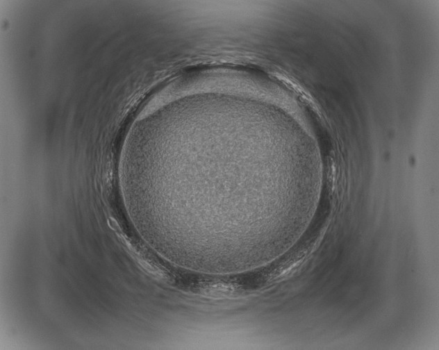X0000086230593200703291331