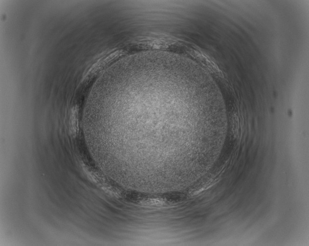 X0000086230594200703291331