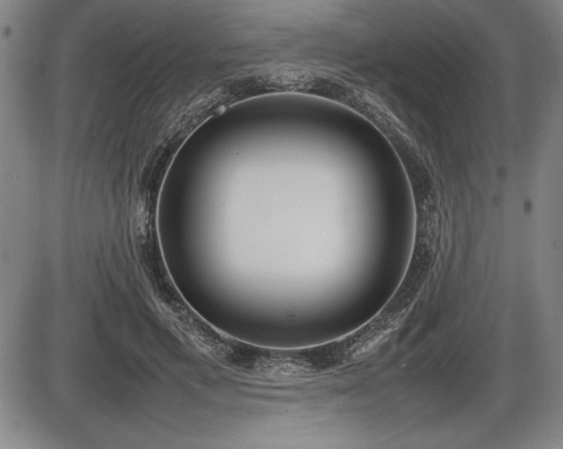 X0000086230597200703291331