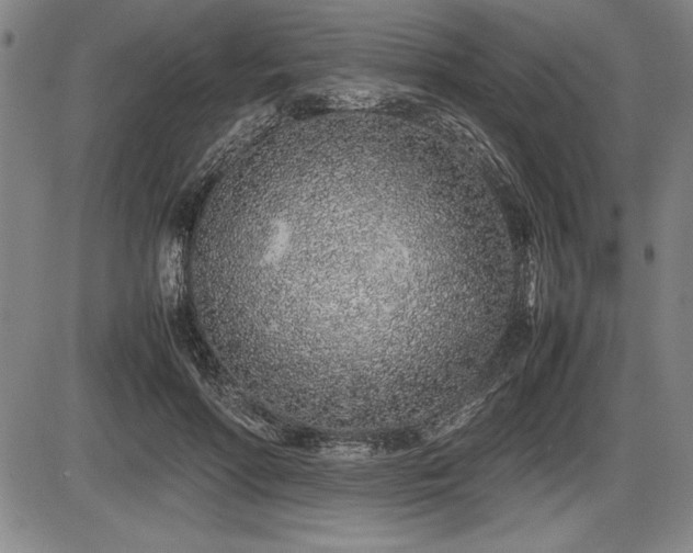 X0000086230598200703291331