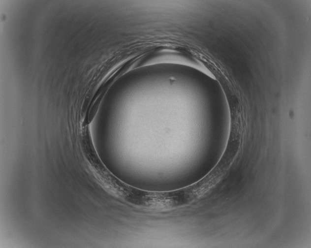 X0000086230601200703291331