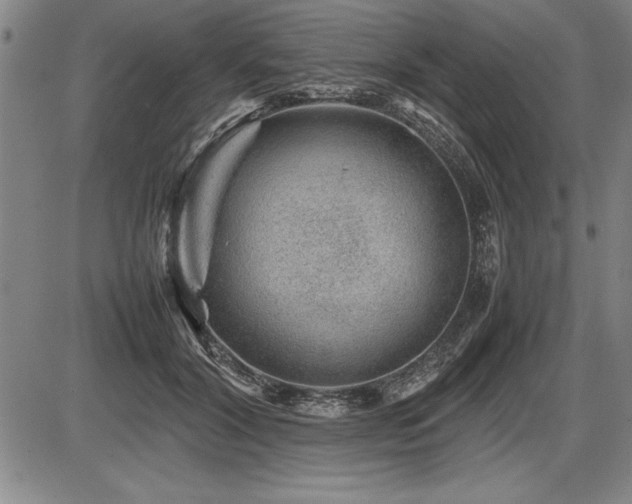 X0000086230604200703291331
