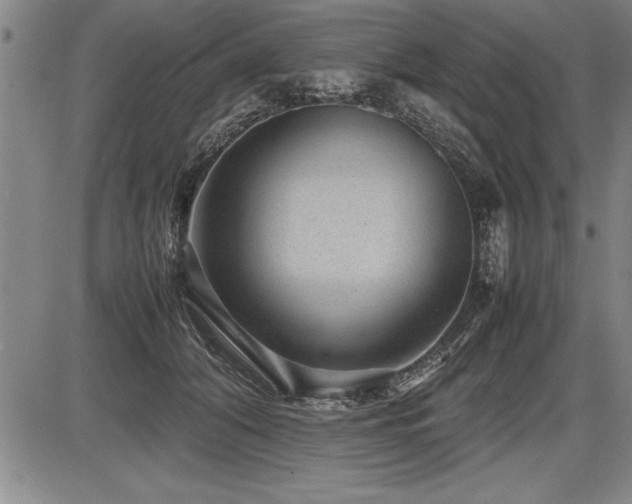 X0000086230608200703291331