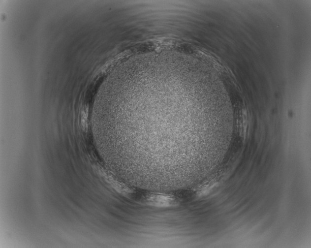 X0000086230610200703291331