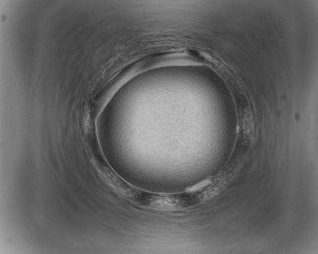 X0000086230611200703291331