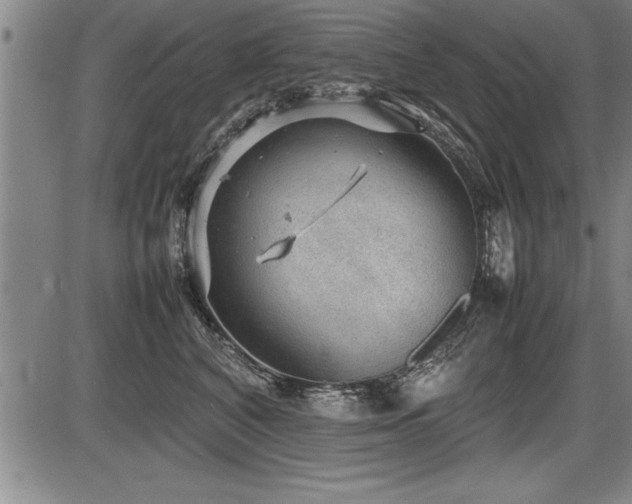X0000086230616200703291331