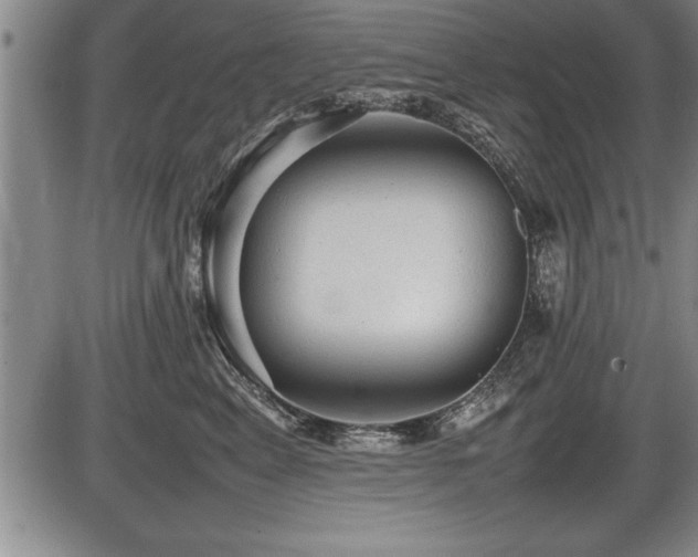 X0000086230617200703291331