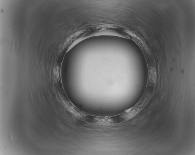 X0000086230621200703291331