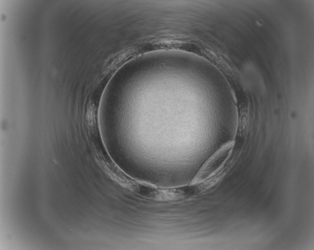 X0000086230623200703291331