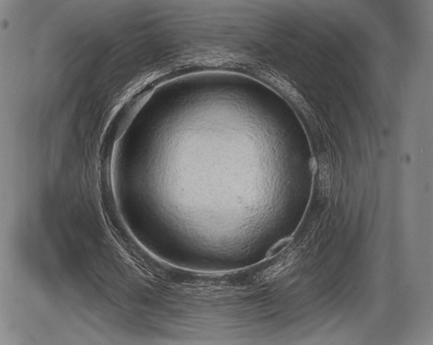 X0000086230626200703291330