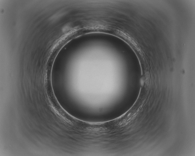 X0000086230629200703291330