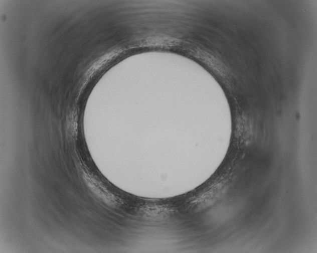 X0000086230632200703291330