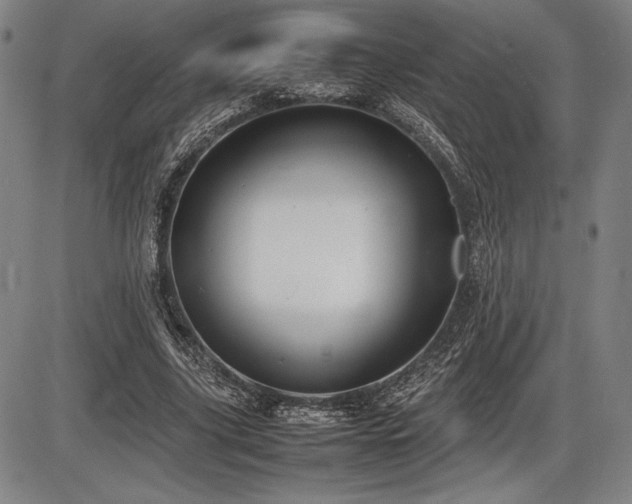 X0000086230635200703291330