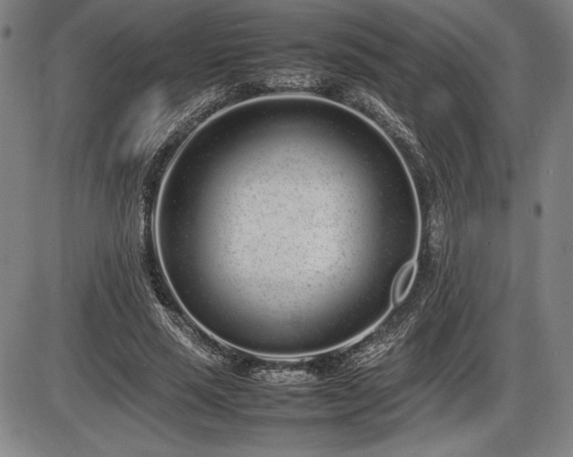 X0000086230637200703291330