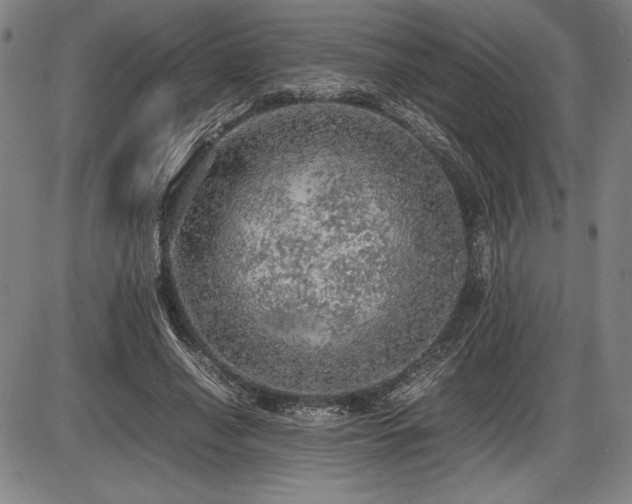 X0000086230638200703291330