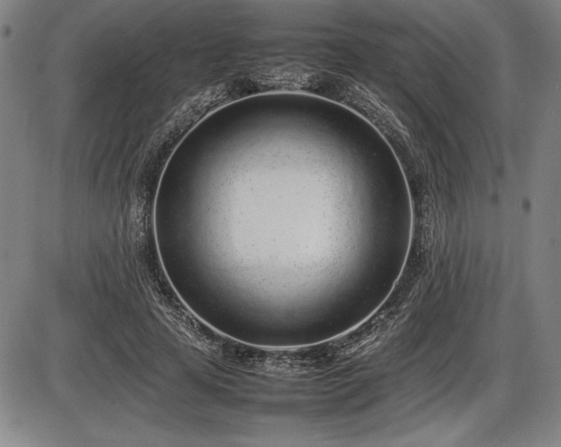 X0000086230641200703291330