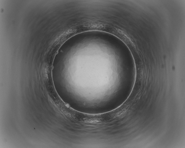 X0000086230643200703291330
