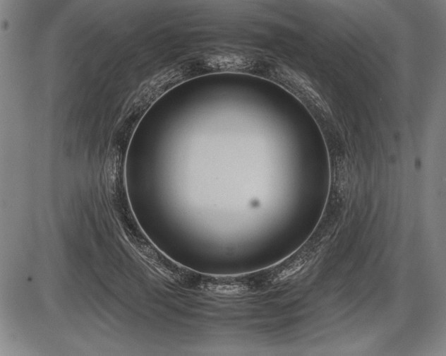 X0000086230645200703291330