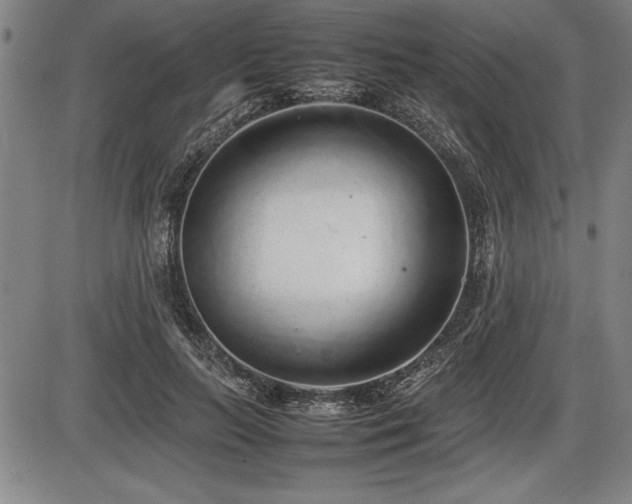 X0000086230647200703291330