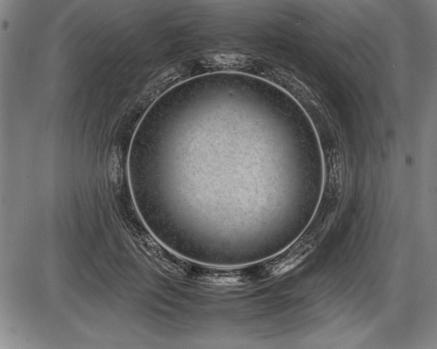 X0000086230651200703291331