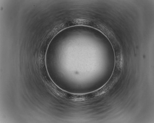 X0000086230653200703291331