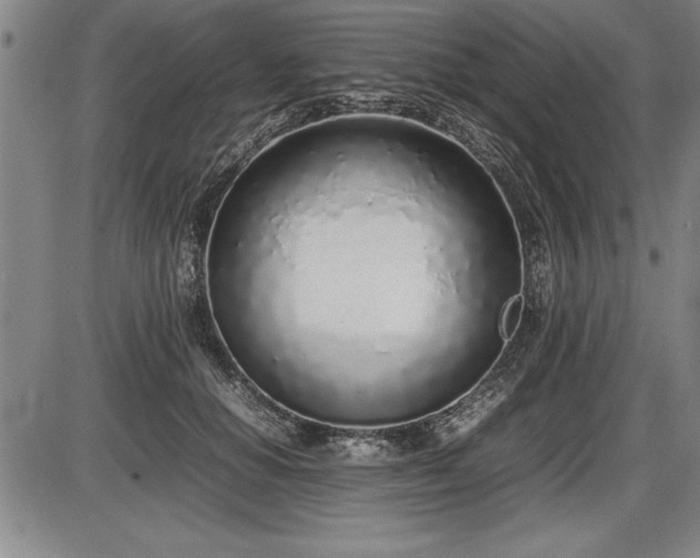 X0000086230654200703291331