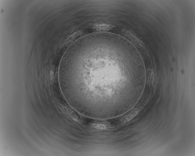 X0000086230655200703291331