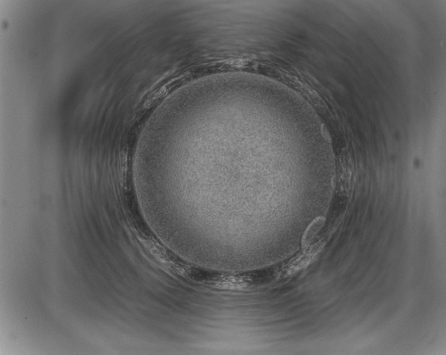 X0000086230656200703291331