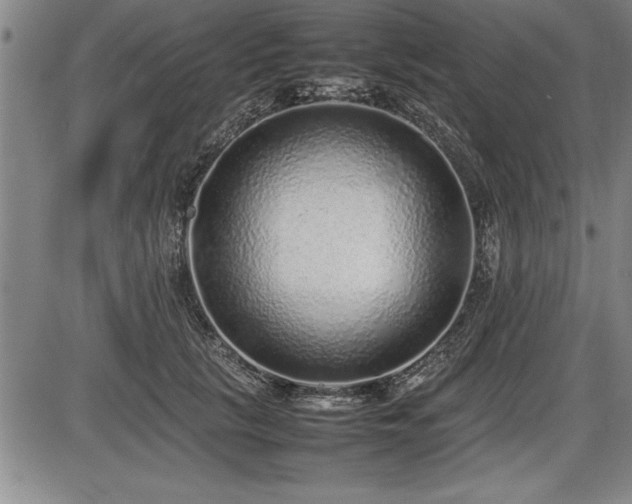 X0000086230657200703291331