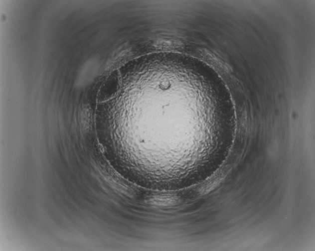 X0000086230659200703291331